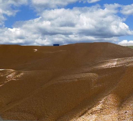 臺安稷豐糧食經(jīng)銷有限公司