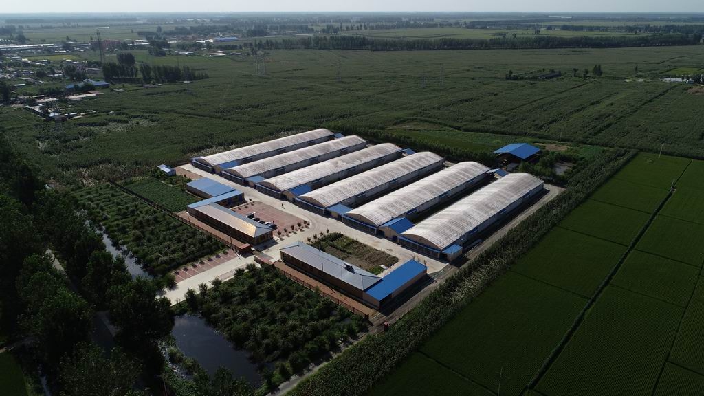 圖片關(guān)鍵詞